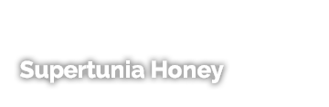 Supertunia® Honey™ Petunia